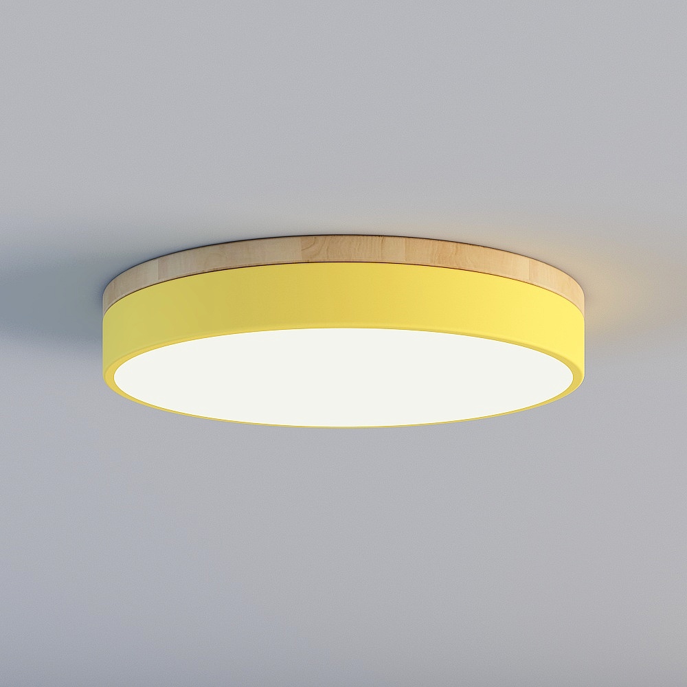 Ceiling light