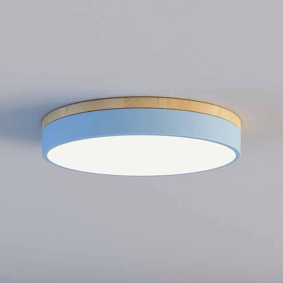 Modern Circular Ceiling Light 3D model