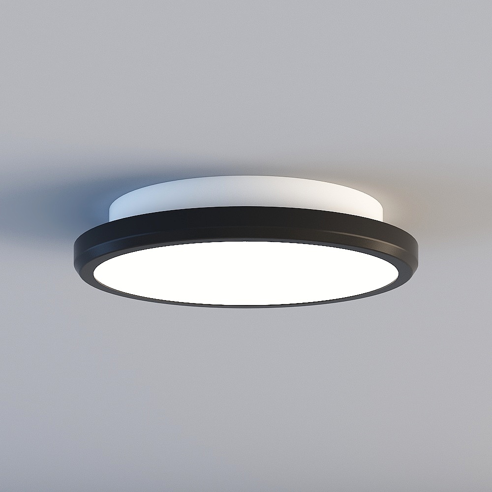 Ceiling light