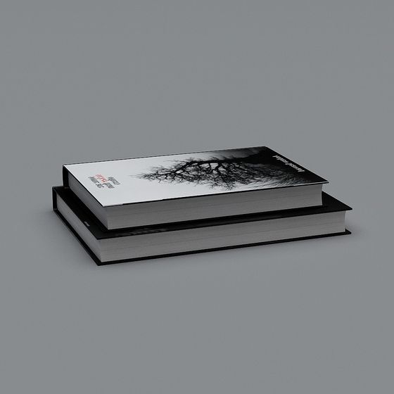 Two stacked hardcover books with white and black covers on grey background