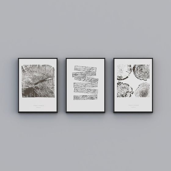 Alianza de Pintura - Llanuras Nórdicas - Collage - Pintura decorativa - sb029