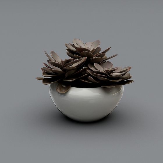 Ceramic Succulent Plant 3D model for Creative Projects
