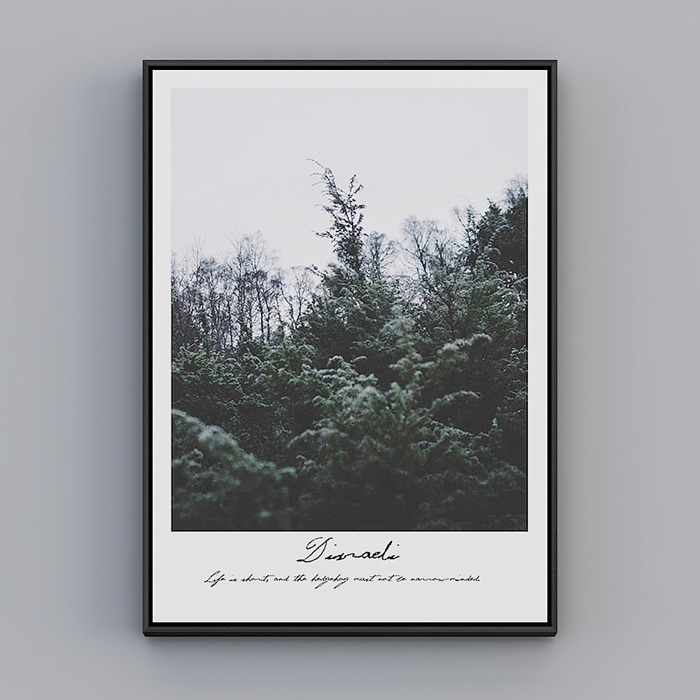 페인팅 얼라이언스 - 북유럽 자연 - 단일 - 장식 그림 - ZR029