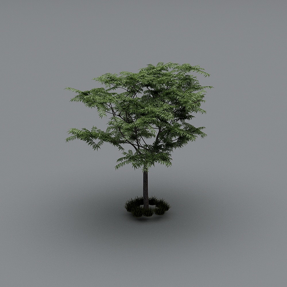 Dyna Long II - Tree