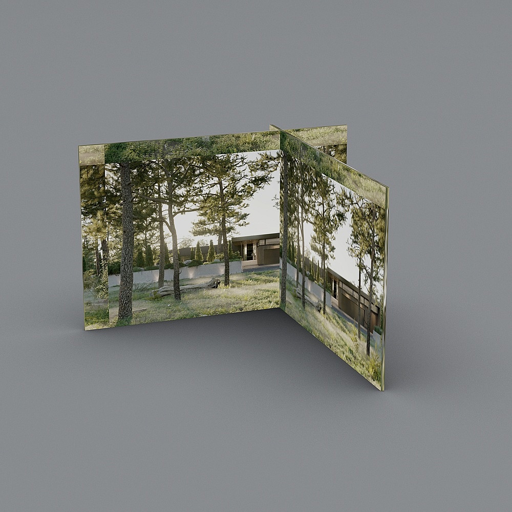 Environment picture model