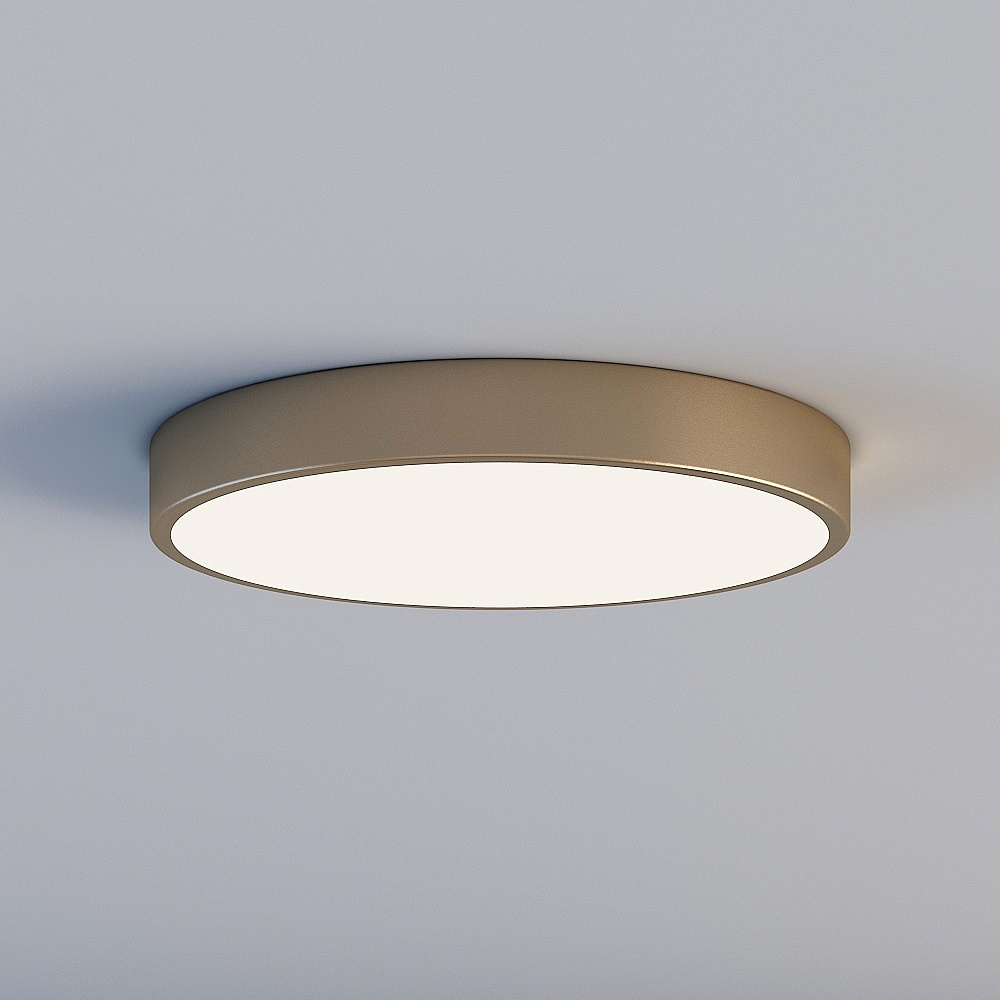 Ceiling light