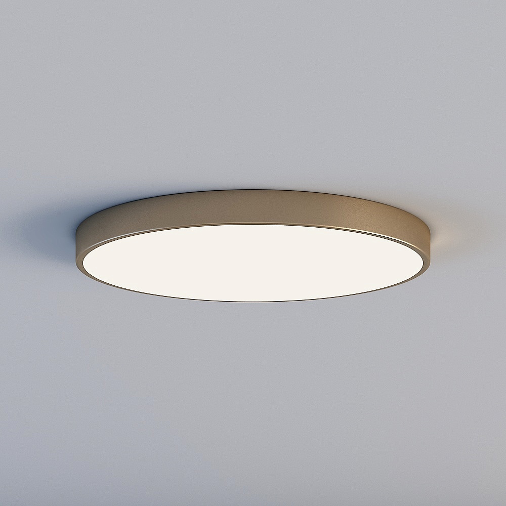 Ceiling light