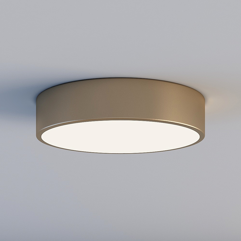 Ceiling light