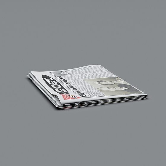 Folded Newspaper 3D Model