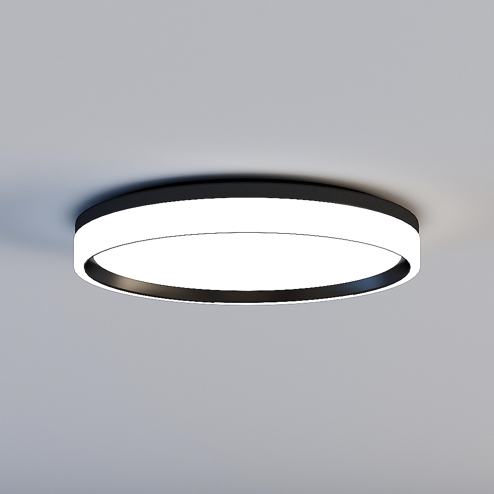Ceiling light