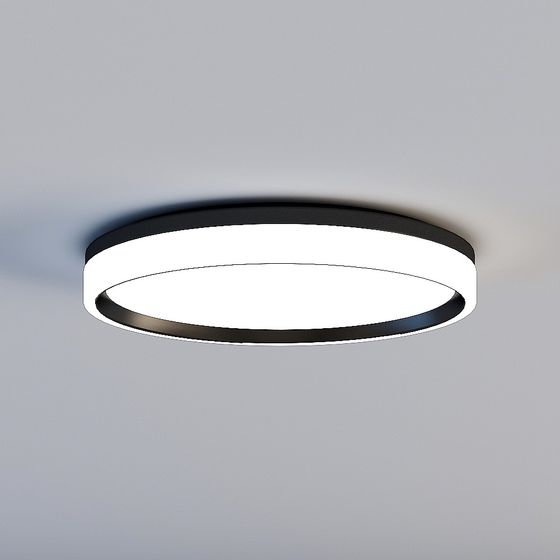 Stylish Circular Pendant Light 3D model