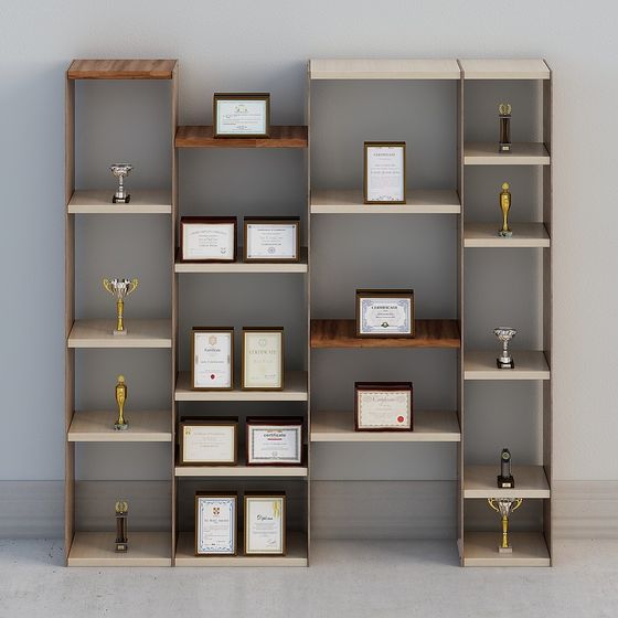 Modern Bookcases,Bookcases,Earth color