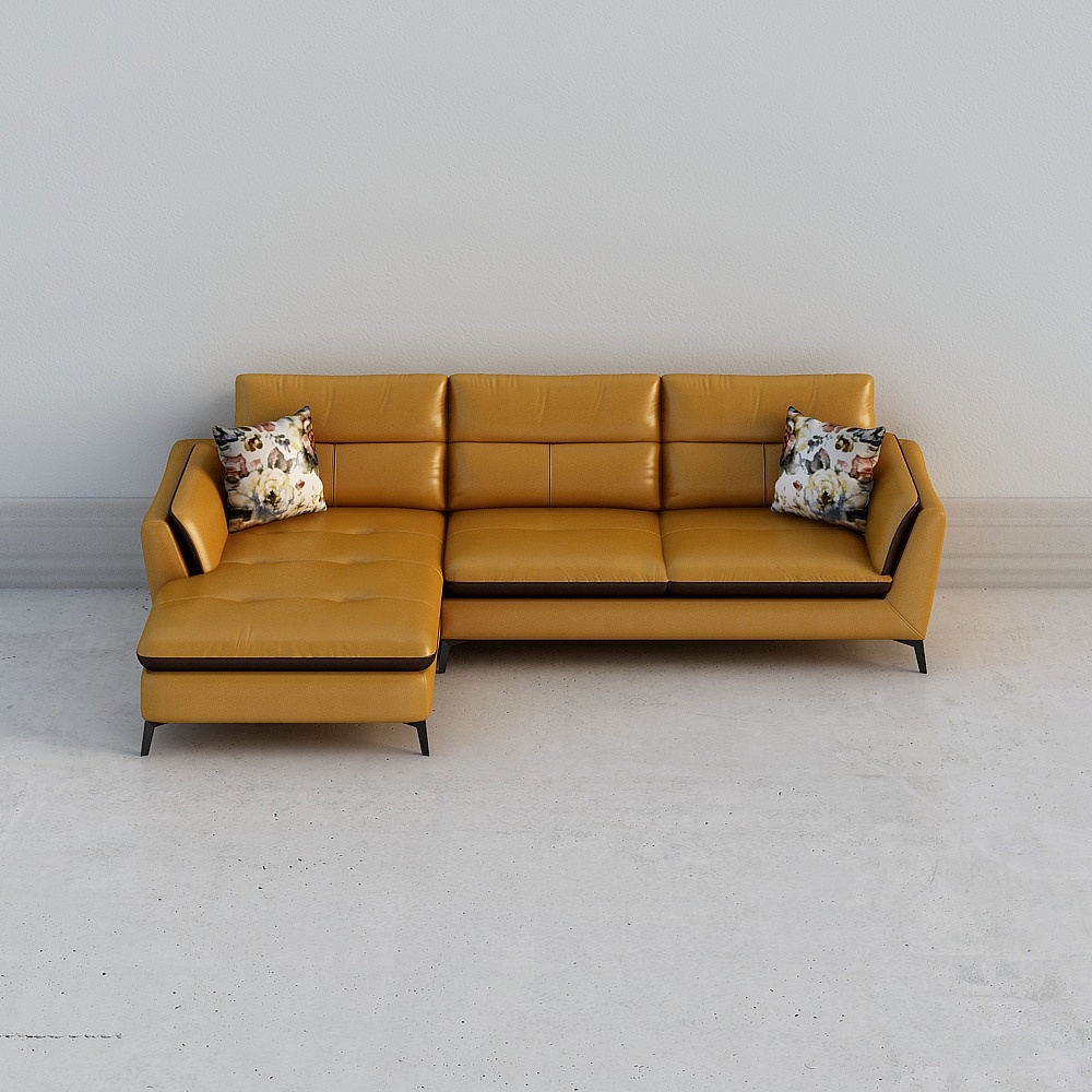 Non-furniture - Kleiman leather sofa