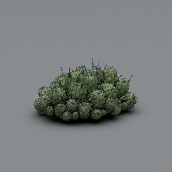 Desert Thorn Cluster 3D Model