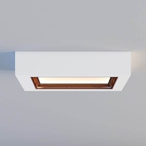 Modern Ceiling Light Fixture 3D model