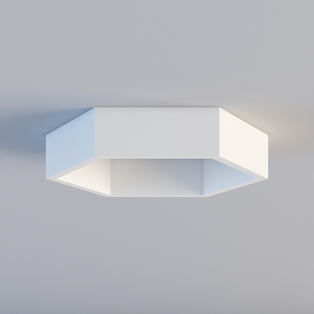 Ceiling light