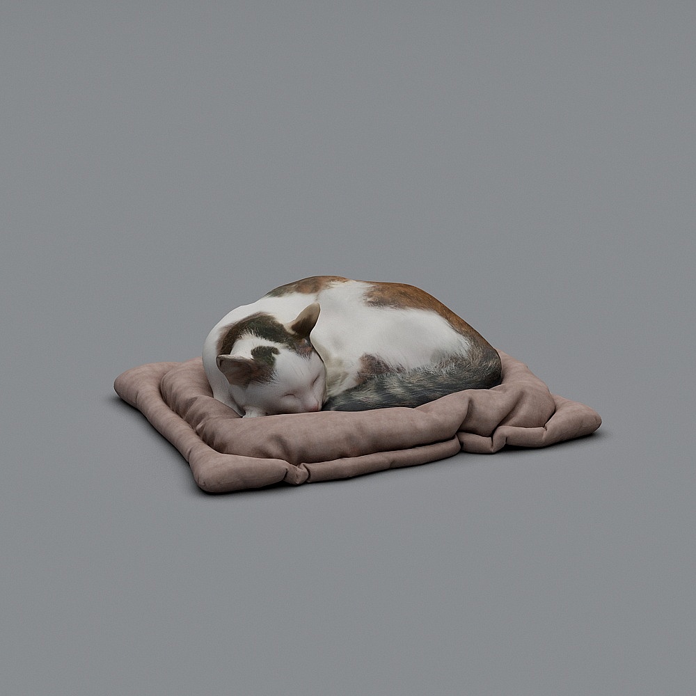 Sleepy Cat 3D Model