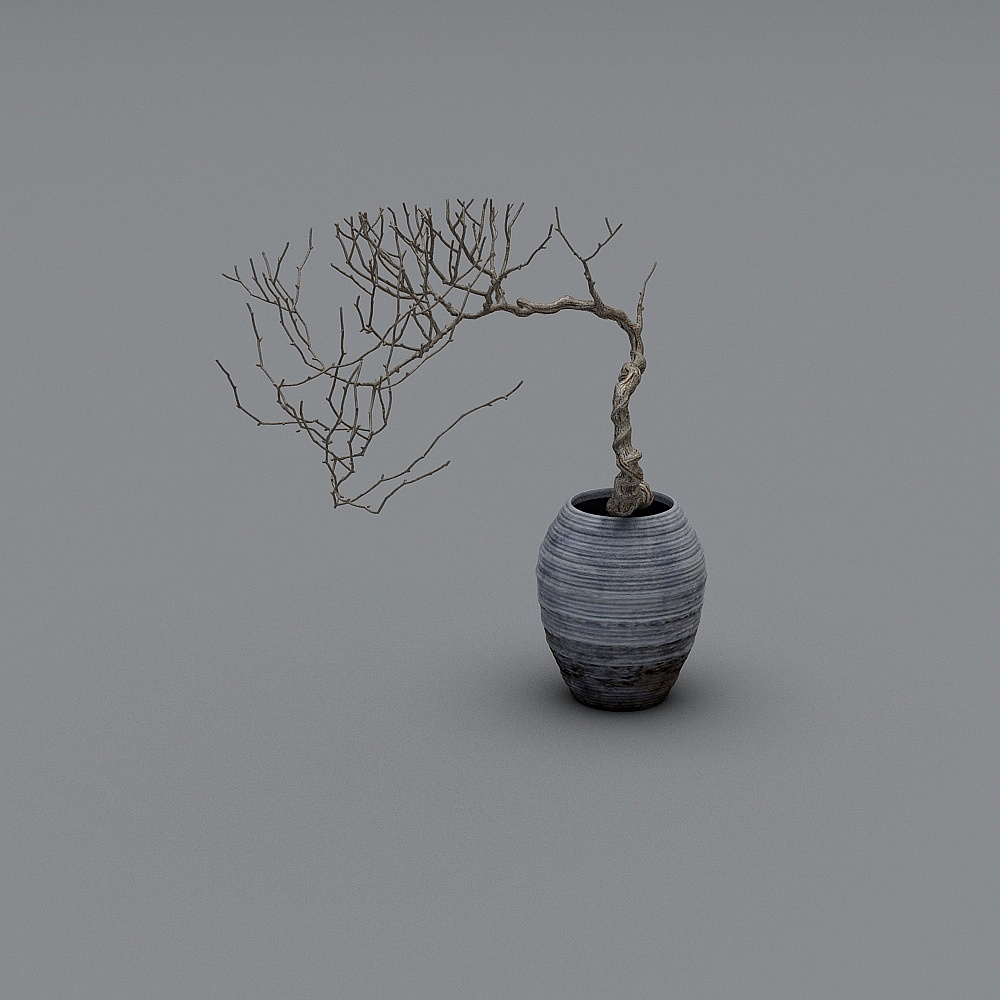 Twisted Branch Bonsai 3D model
