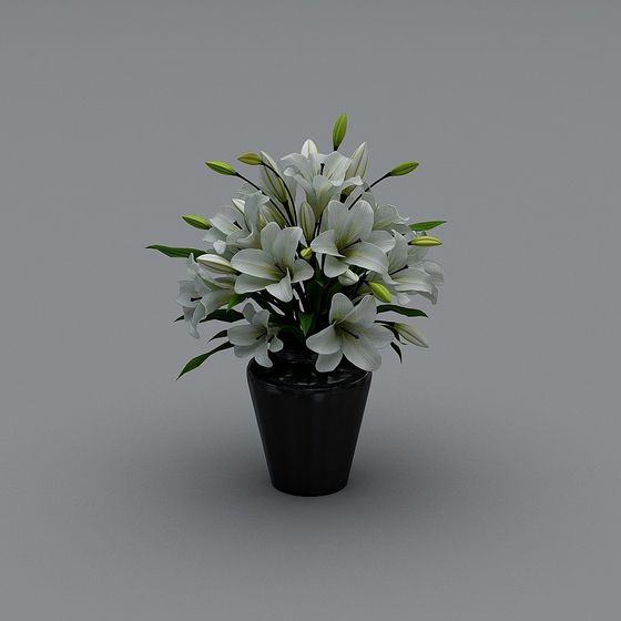 Elegant Lily Flower Pot 3D Model