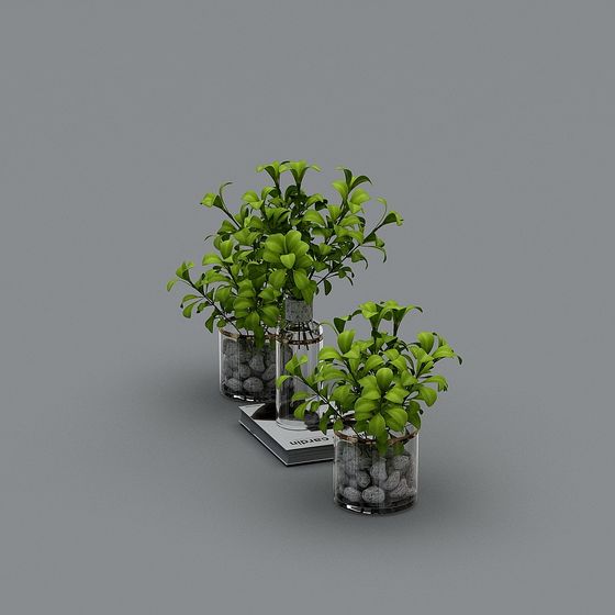 Low-Poly Plant Set 3D Model