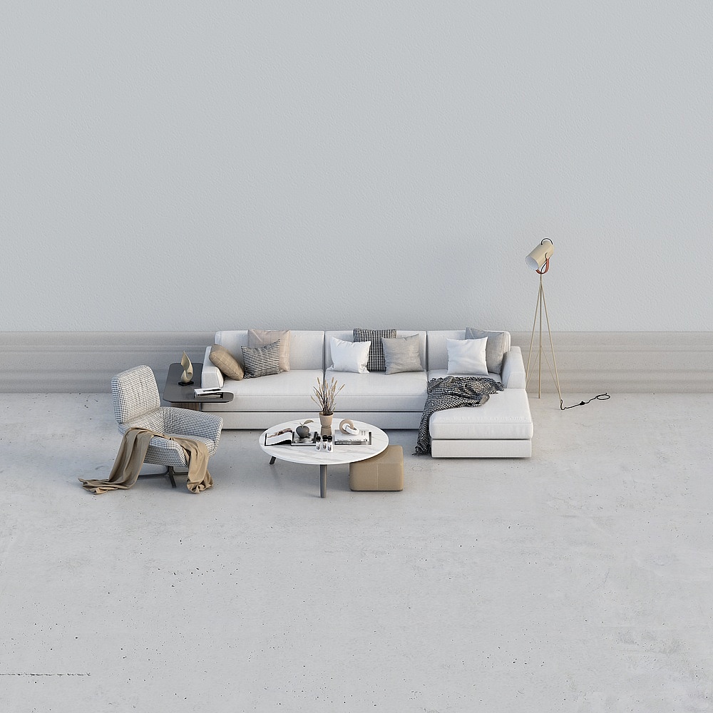 Combinaison de canapé de salon minimaliste moderne