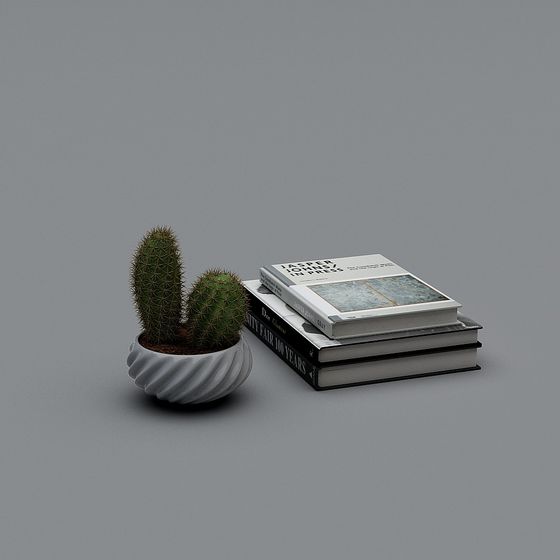 Cactus Corner 3D model