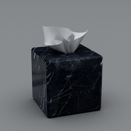 Elegant Marble Tissue Box 3D model
