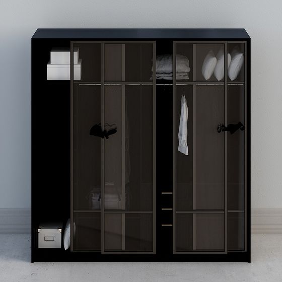 Modern Glass Wardrobe 3D model