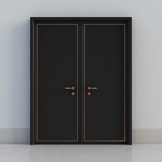 Porte double moderne sombre