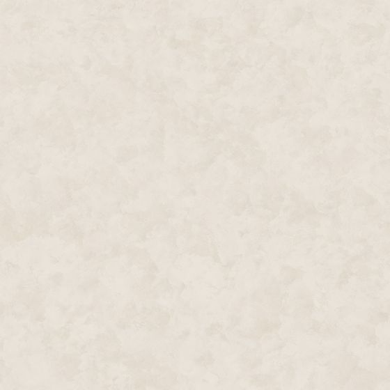 Trendy Gray Velvet Paint 3D Model