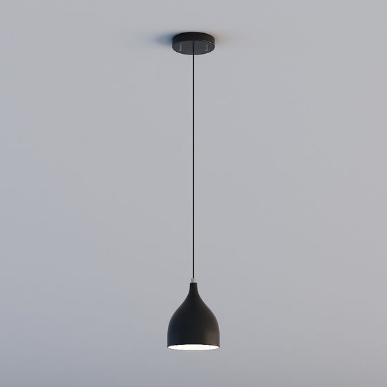 Nordic Minimalist Restaurant Single Head Chandelie