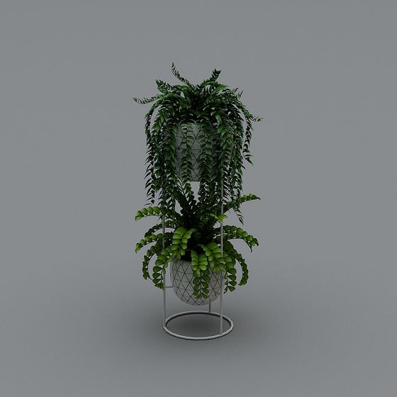 Suspended Plant Shelf 3D model
