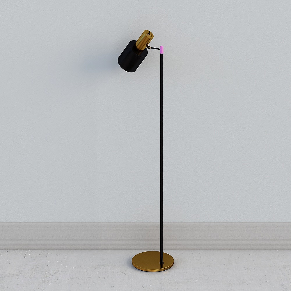 Floor Lamp 