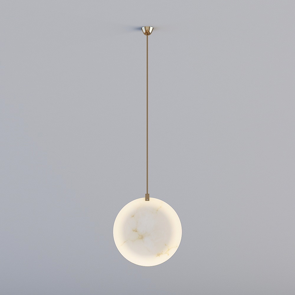 Elegant Modern Pendant Light 3D model