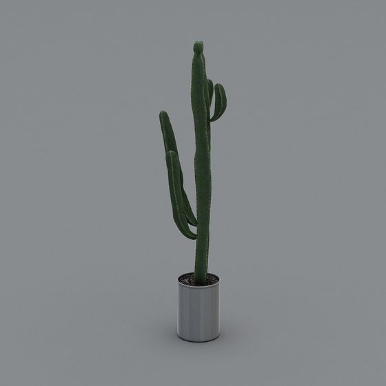 Stunning Cactus 3D model Perfect for Modern Spaces