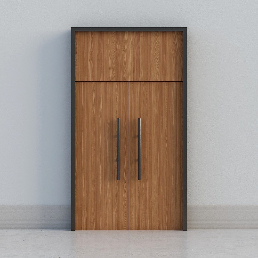 modern dark wooden high door