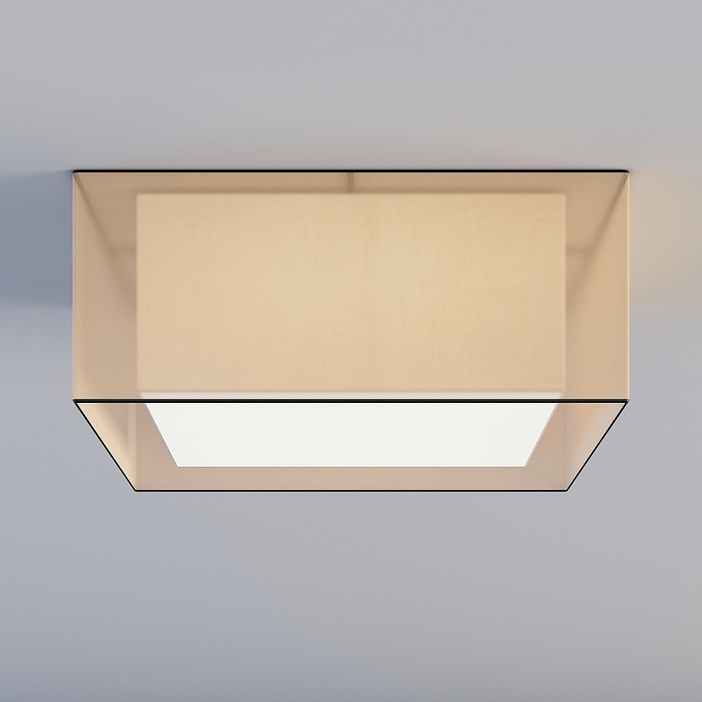 Ceiling light