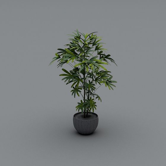 Potted Plant 3D Model