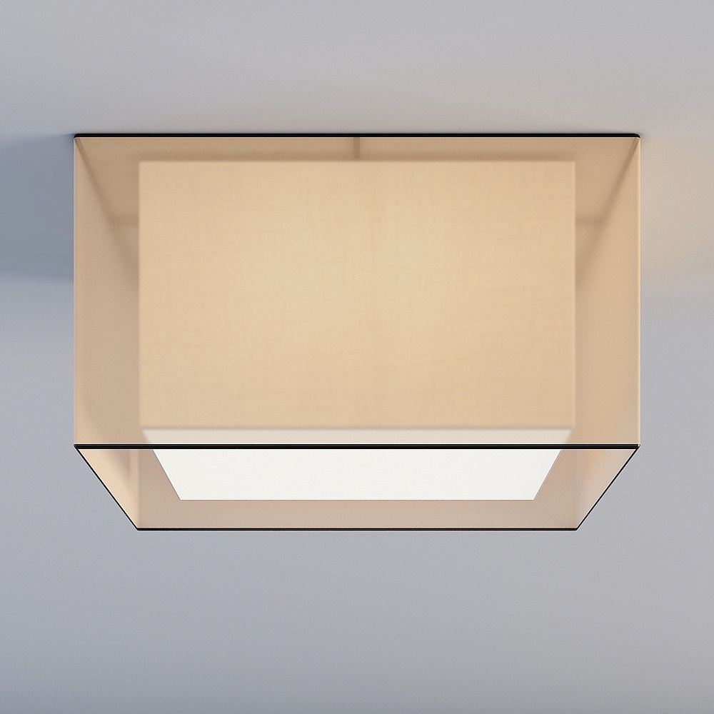 Ceiling light