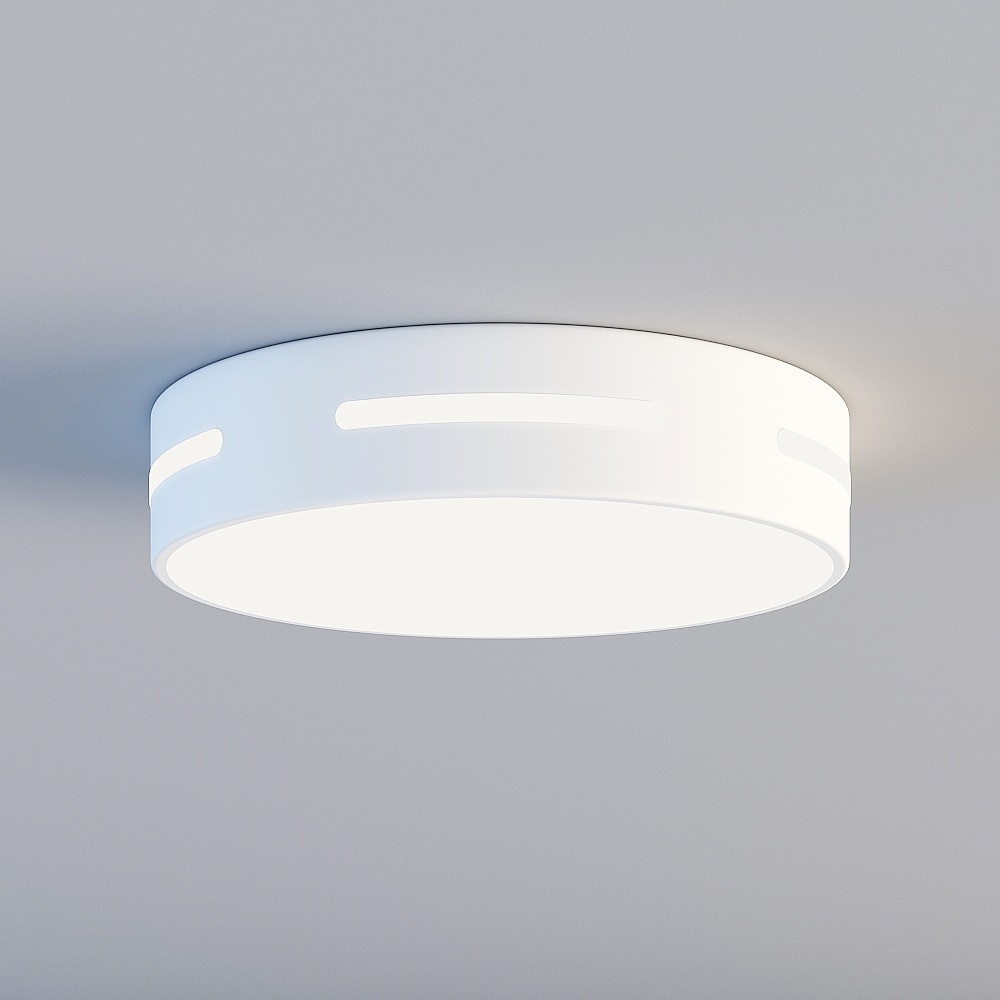 Ceiling light