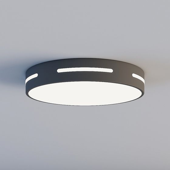 Modern Round Ceiling Light 3D model