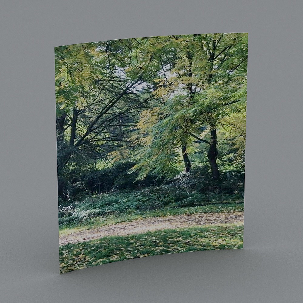 Tranquil Forest Path 3D model