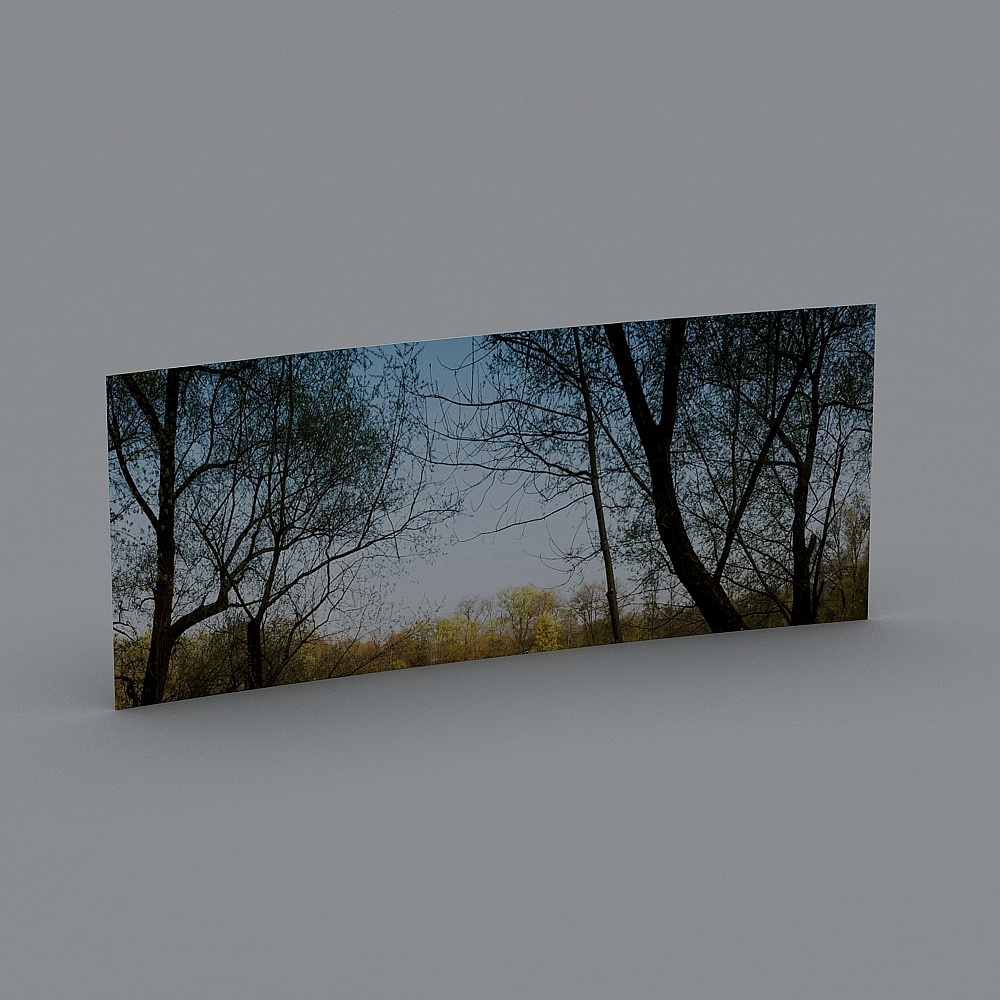 Tranquil Forest 3D model