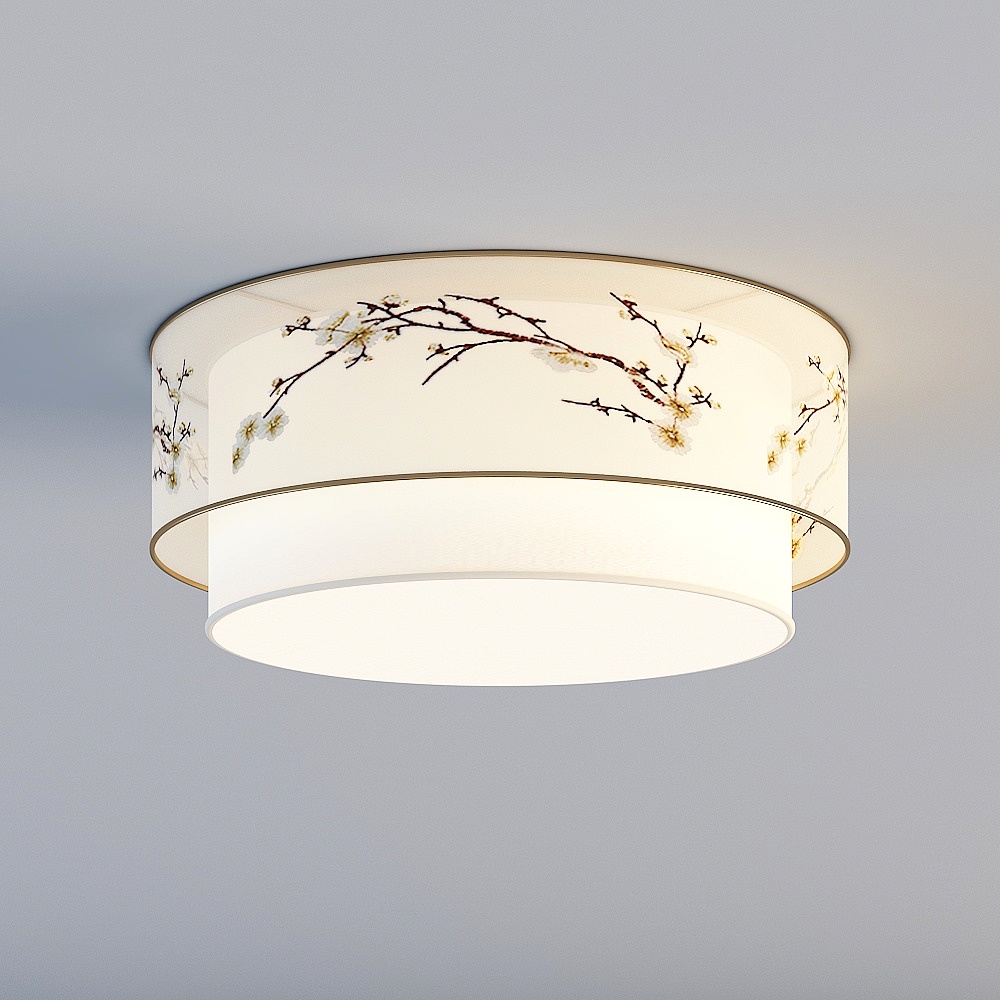 Ceiling light