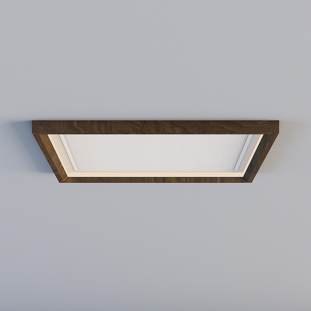 Ceiling light