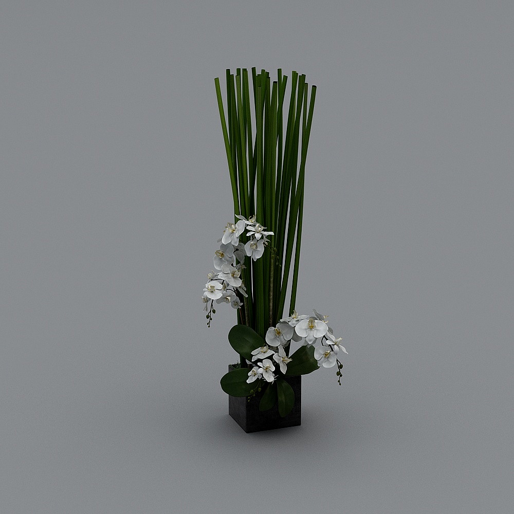potted plant 2