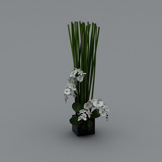 Orchid Garden 3D model for Creative Spaces