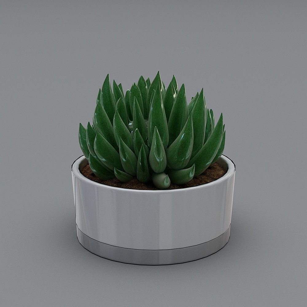 植物の植え付け