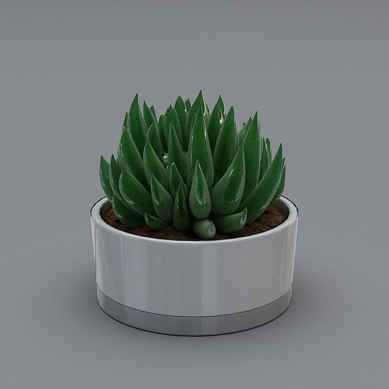 植物の植え付け