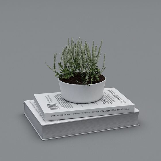 Desk Green Plant 3D model